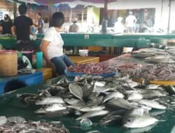 Proyek Pasar Ikan Ranai Mangkrak, Bertentangan dengan Visi Prabowo-Gibran