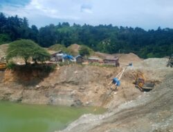 PETI Kian Menggila di Sulteng, Azwar: Pemerintah Jangan Hanya Kasih Surga Telinga