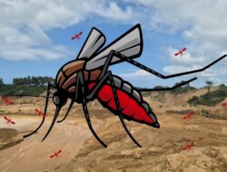 Kubangan Tambang Picu Lonjakan Malaria di Parigi Moutong, Sulteng