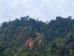 Pemerintah Sita 321 Hektare Tambang Ilegal di Maluku Utara dan Sulawesi Tenggara