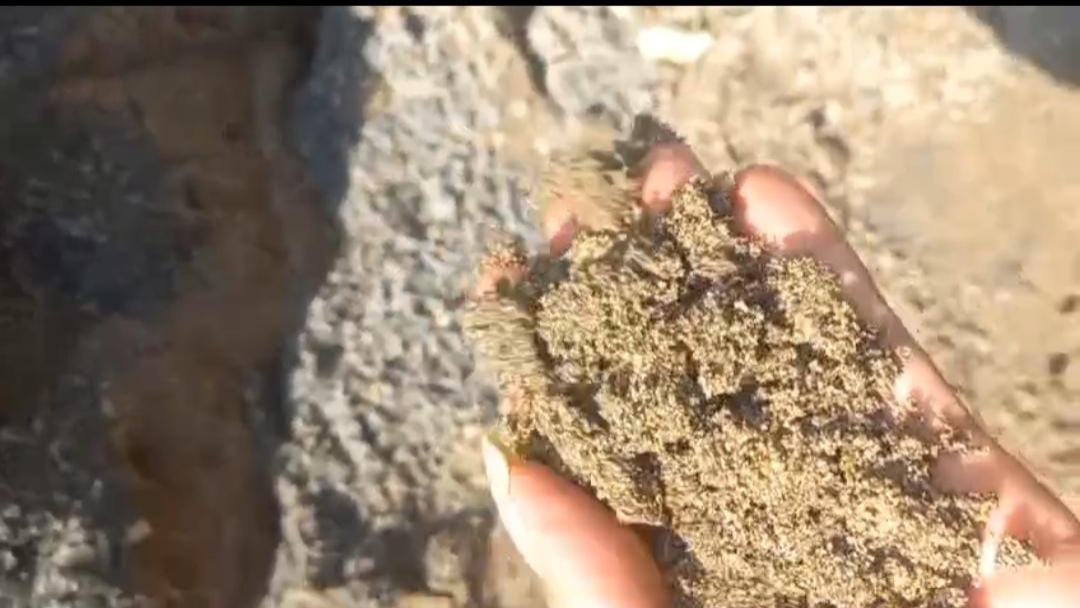 Warga memegang pasir bangunan yang diduga material oplosan pada proyek renovasi Puskesmas Kapuan Blora.