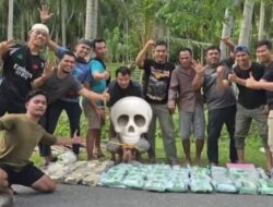 Polisi Bongkar Jaringan Narkoba Internasional di Sulteng, 60 Kg Sabu Disita