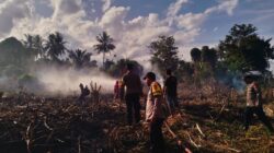 Puntung Rokok Diduga Picu Kebakaran Pekuburan di Parigi Moutong