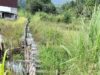300 Sawah Mengering, Proyek Irigasi Binontoan di Tolitoli Dipertanyakan