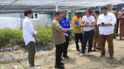 Halmahera Timur Pelajari Pengembangan Industri Durian Parigi Moutong