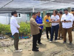 Halmahera Timur Pelajari Pengembangan Industri Durian Parigi Moutong