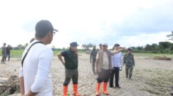 Banjir Rusak Sawah Siap Panen, Pemkab Parigi Moutong Percepat Penanganan