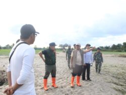 Banjir Rusak Sawah Siap Panen, Pemkab Parigi Moutong Percepat Penanganan