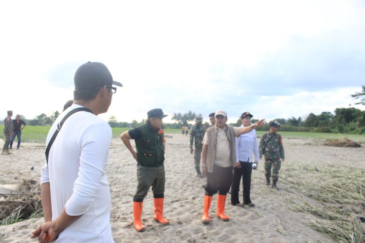 Wakil Bupati Parigi Moutong Abdul Sahid meninjau lokasi banjir di Kecamatan Torue.